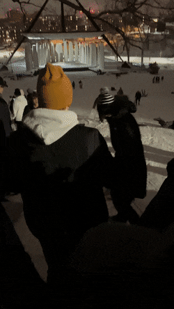 Acid GIFs, February 10 (25 gifs)