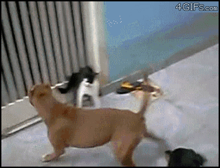 Acid GIFs, February 16 (25 gifs)