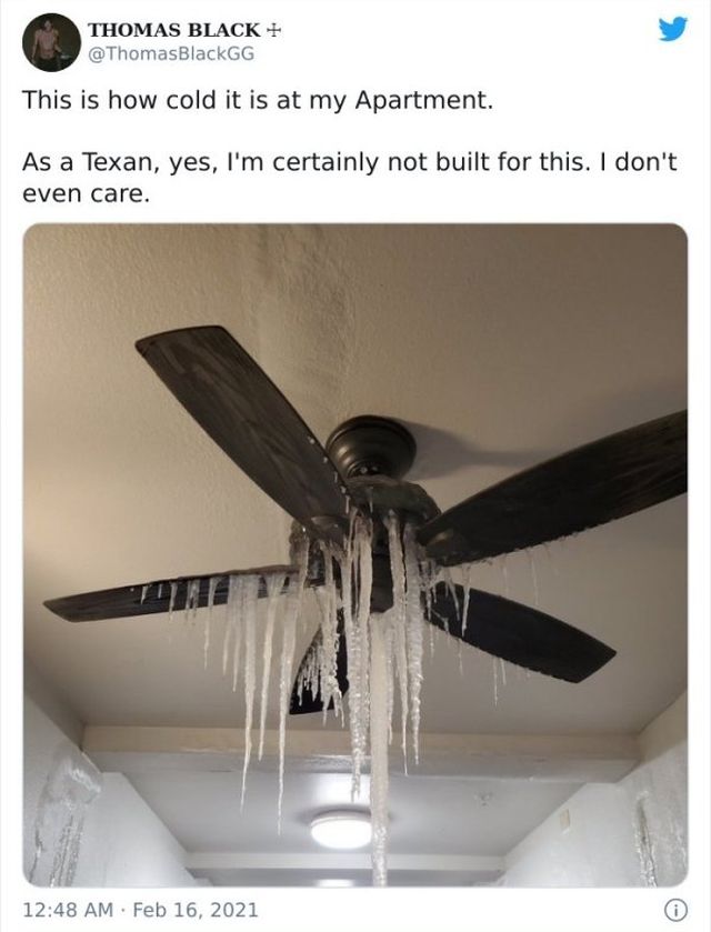 'Snowmageddon' In Texas (25 pics)