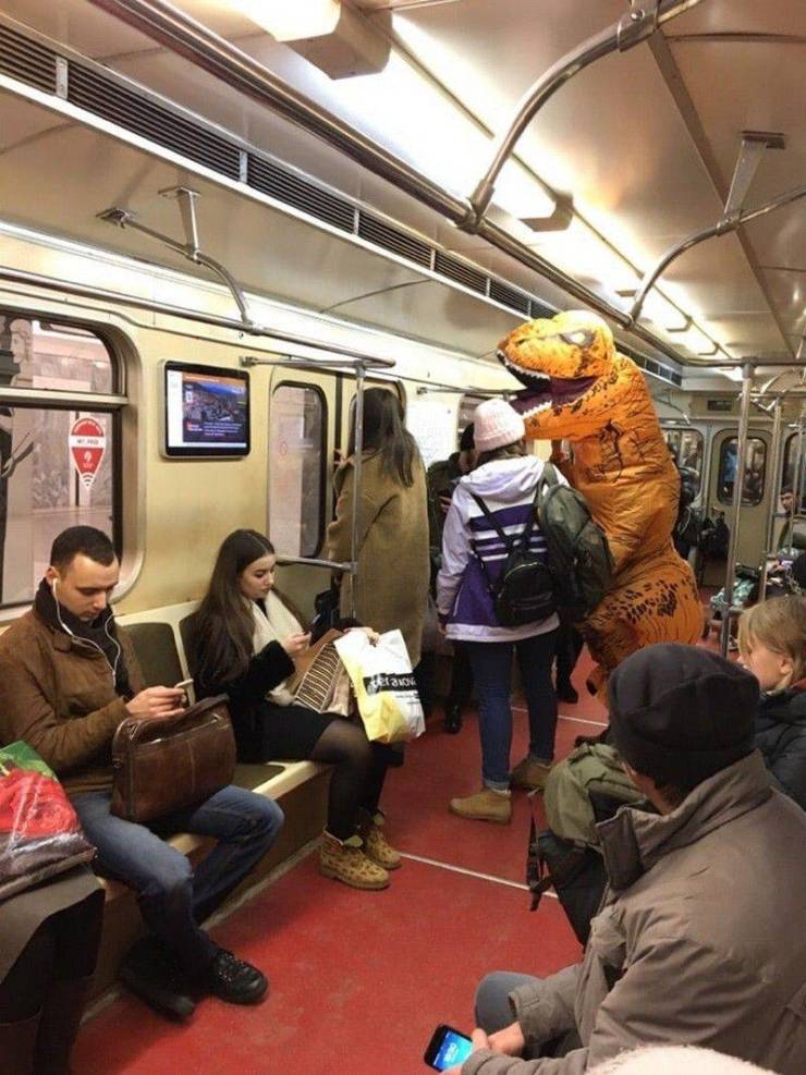 Daily Pictures. Part 1 (79 pics)
