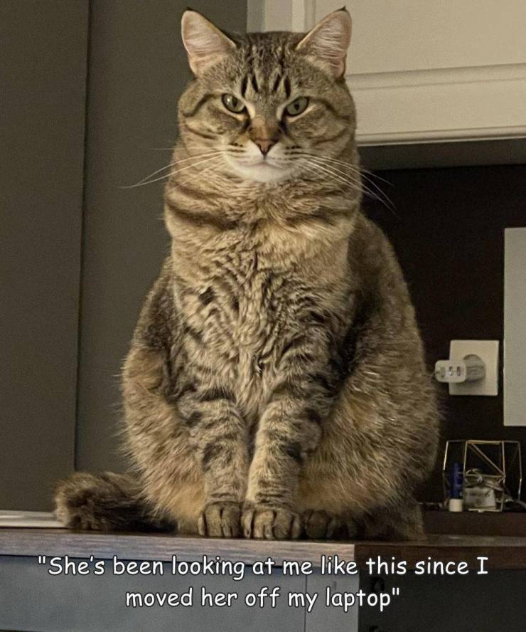 Daily Pictures. Part 2 (78 pics)