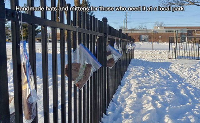 Kind Stories (50 pics)
