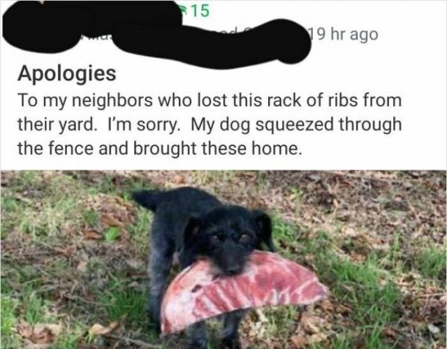 Funny Neighbors (23 pics)