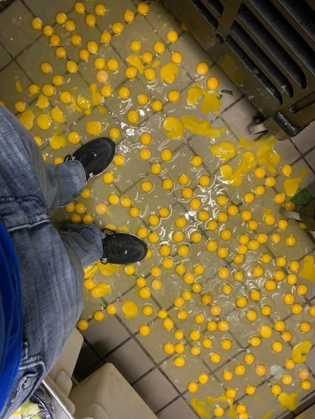 Bad Days Happen (22 pics)