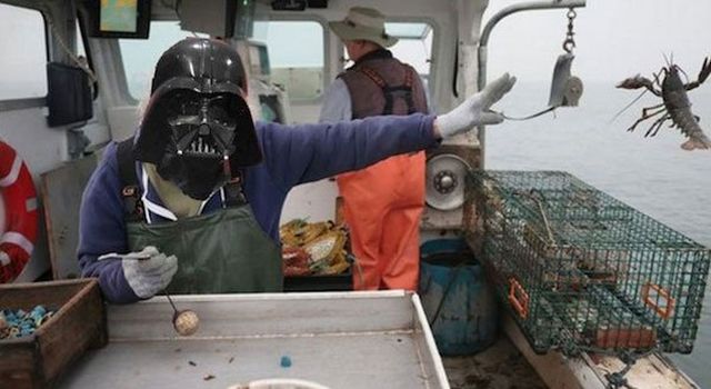 Memes Withs Grandma And Lobster (25 pics)