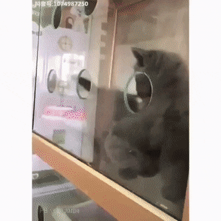 Acid GIFs, February 23 (25 gifs)