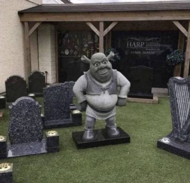 Strange Situations (48 pics)