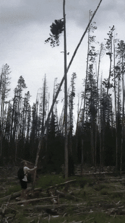 Acid GIFs, February 24 (25 gifs)