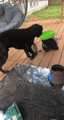 Acid GIFs, February 24 (25 gifs)