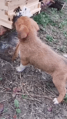 Acid GIFs, February 24 (25 gifs)