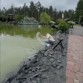 Acid GIFs, February 24 (25 gifs)