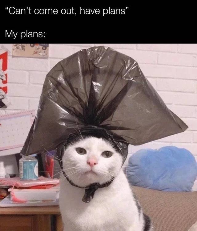 Daily Pictures. Part 2 (72 pics)