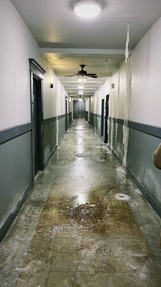 Bad Surprises In Houses (14 pics)