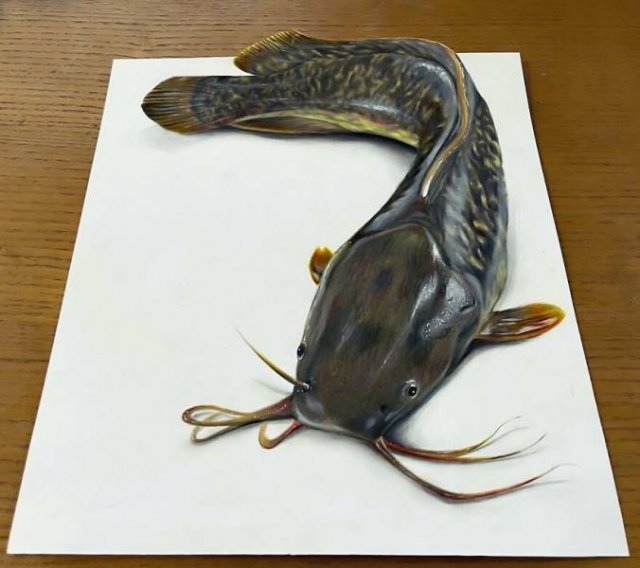 Awesome 3D Drawings (30 pics)