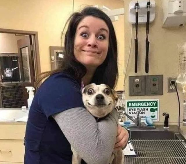 Funny Animals At The Vet (36 pics)