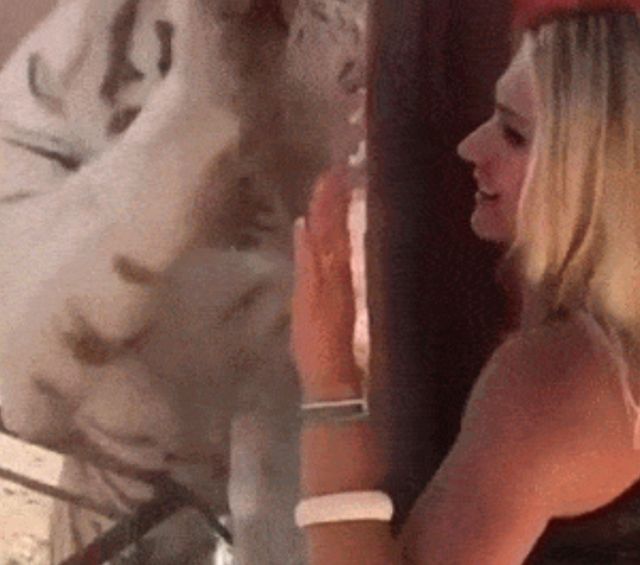 Acid GIFs, March 1 (25 gifs)