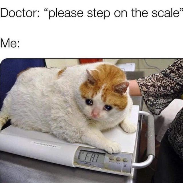Fat People Jokes (30 pics)