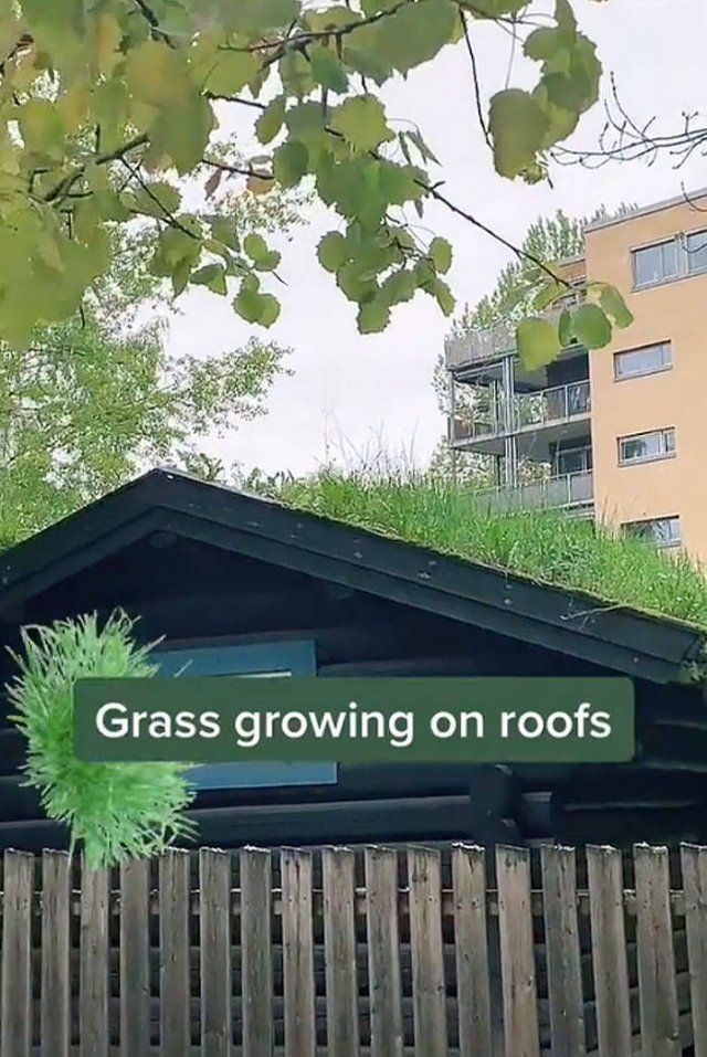 Interesting About Norway (25 pics)