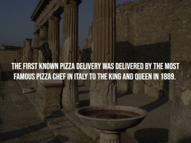 Random Facts (16 pics)