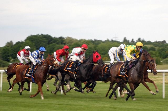 4 Horse Racing Tips for Maximum Profits