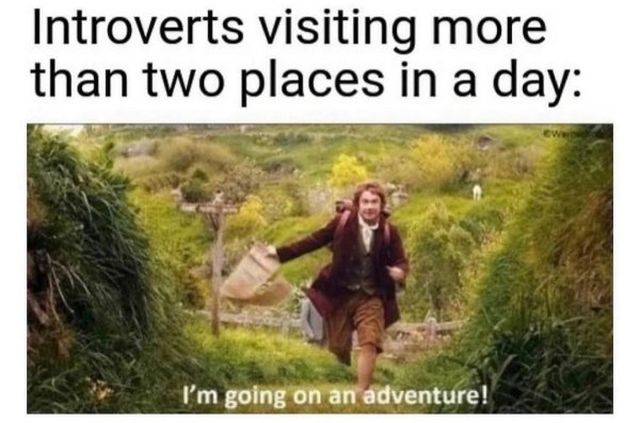 Memes From Introverts (29 pics)