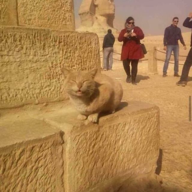 Interesting Things Of Egypt (37 pics)