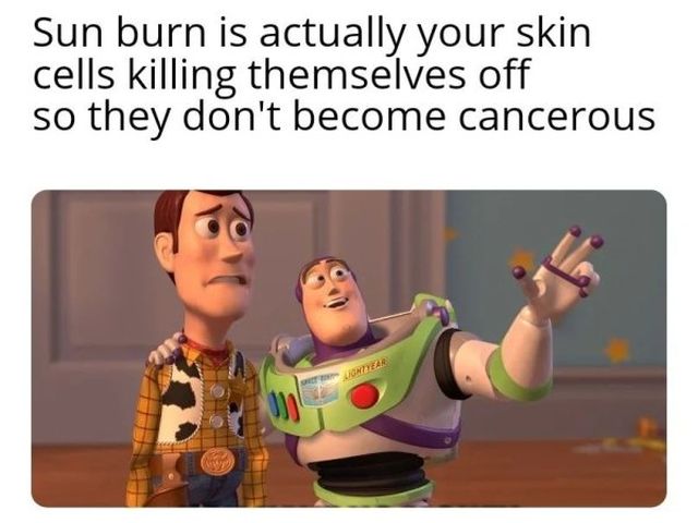 Random Memes (27 pics)