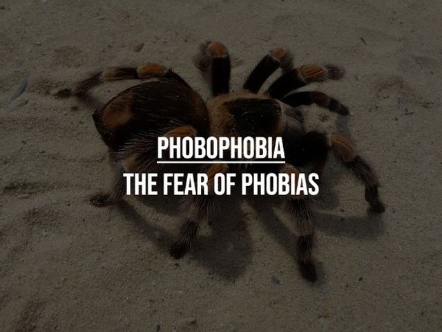 Unusual Phobias (17 pics)