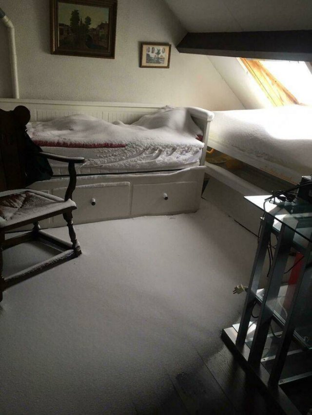 Unpleasant Surprises (27 pics)