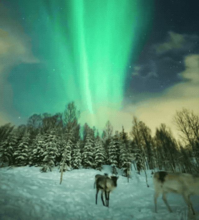 Acid GIFs, March 4 (25 gifs)