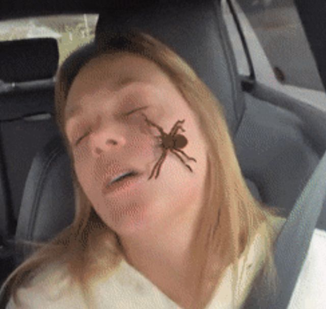 Acid GIFs, March 7 (25 gifs)