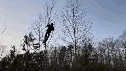 Acid GIFs, March 7 (25 gifs)