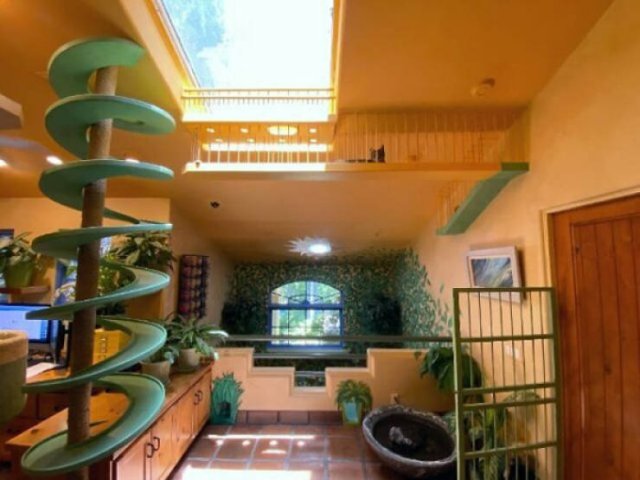 Perfect Cat House (29 pics)