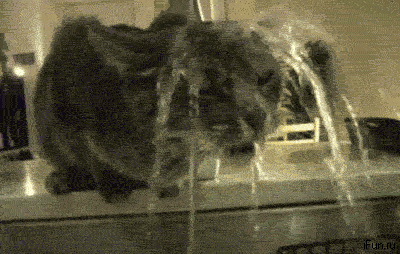 Acid GIFs, March 10 (25 gifs)