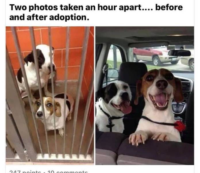 Daily Pictures. Part 1 (61 pics)