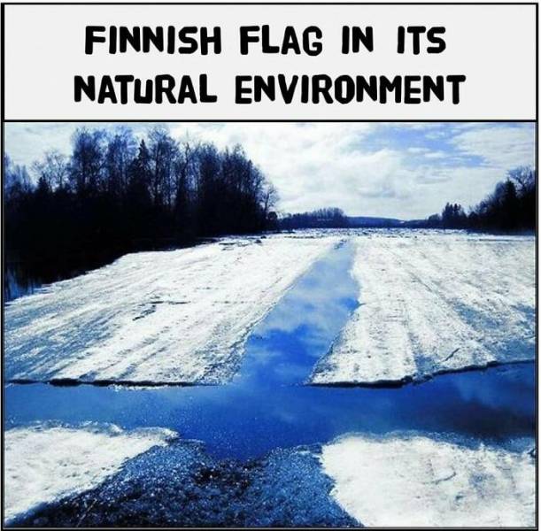 Jokes About Finland (20 pics)