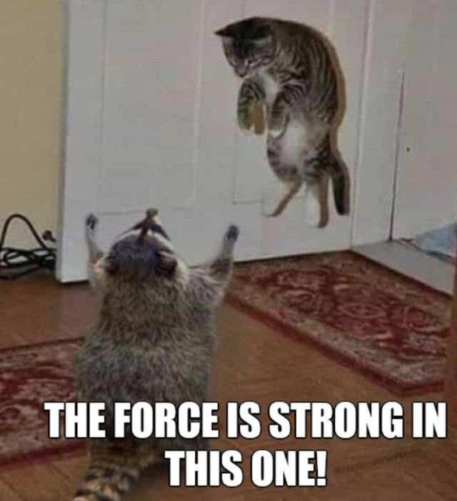 Funny Memes (20 pics)
