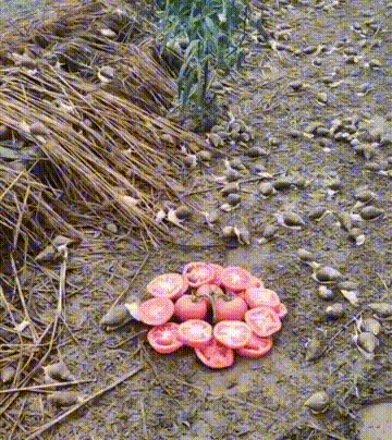 Acid GIFs, March 10 (25 gifs)