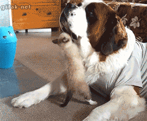 Acid GIFs, March 10 (25 gifs)