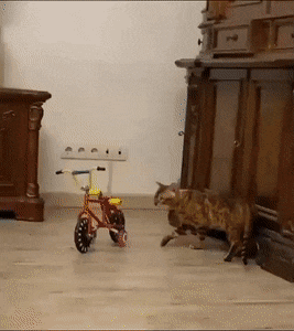 Acid GIFs, March 10 (25 gifs)