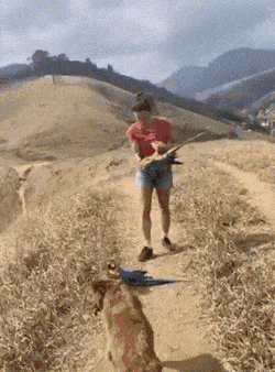 Acid GIFs, March 10 (25 gifs)