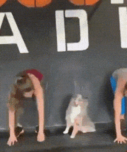 Acid GIFs, March 10 (25 gifs)