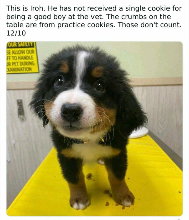 Daily Pictures. Part 1 (49 pics)