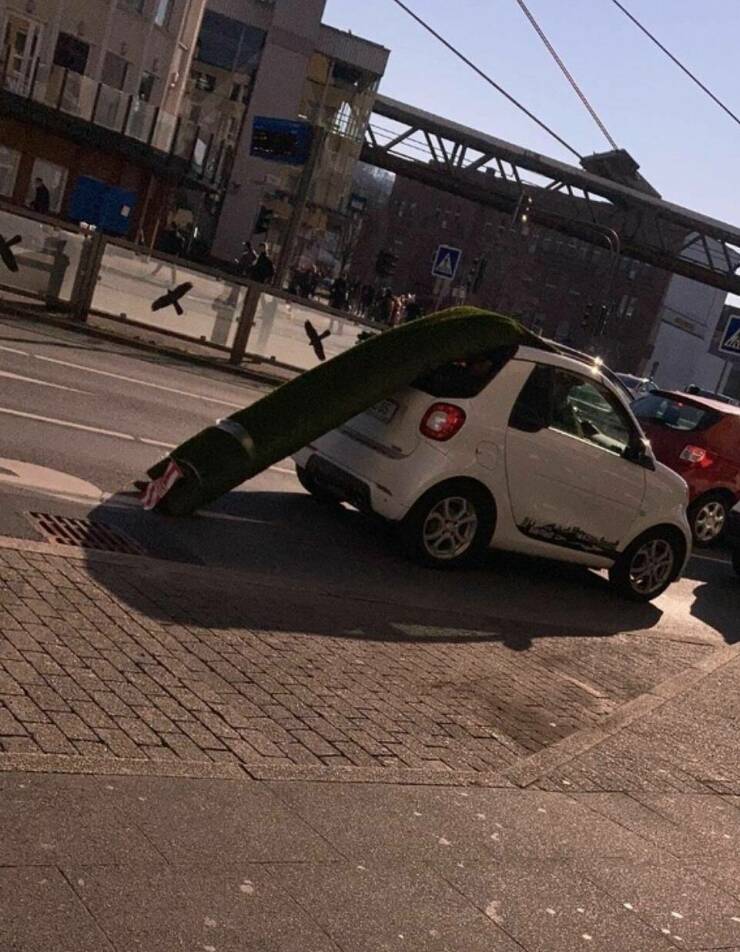 Daily Pictures. Part 1 (49 pics)