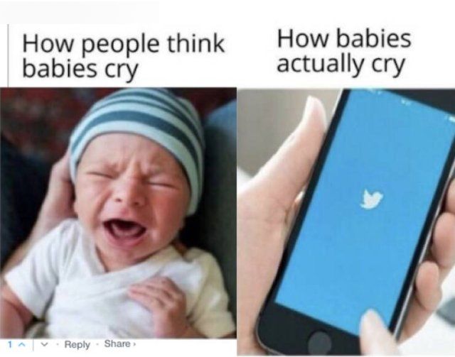 Random Memes (40 pics)