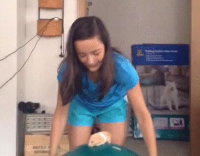 Acid GIFs, March 18 (25 gifs)