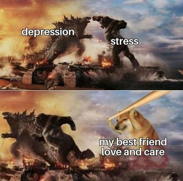 Motivation Memes (51 pics)