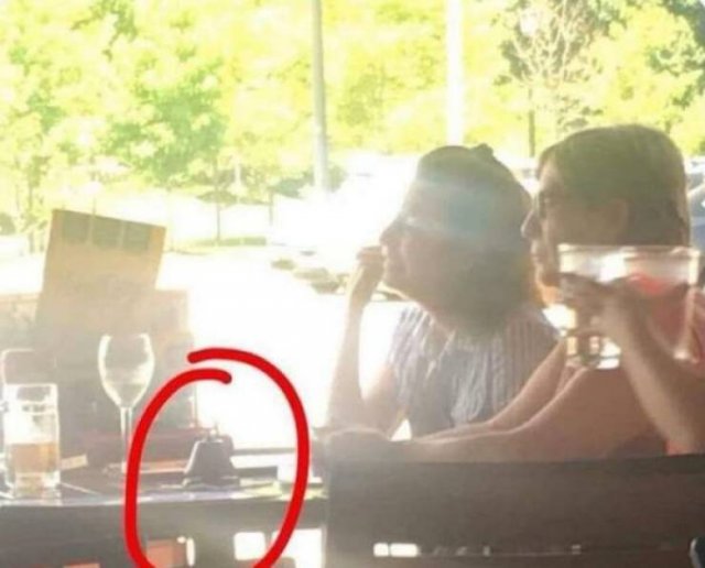 Annoying Egoists (11 pics)