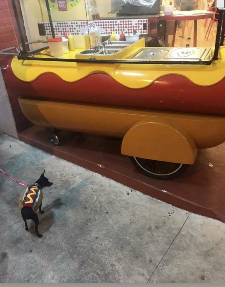 Daily Pictures. Part 2 (68 pics)