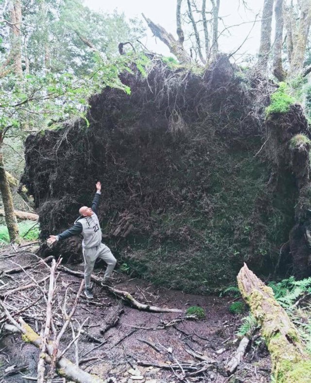 Interesting Finds (19 pics)